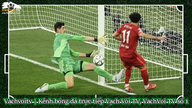 Vachvoitv | Chuyên trang trực tiếp bóng đá xem số 1 Việt Nam